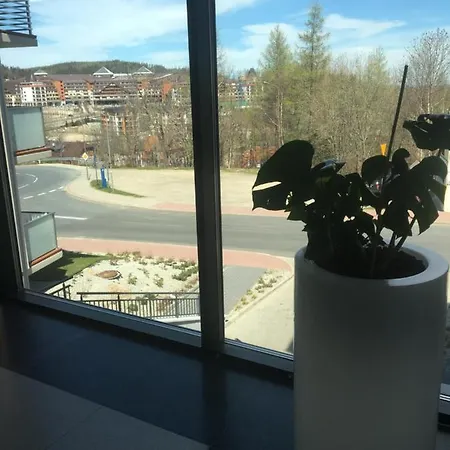 Silence Triventi Bialy Kot Apartamento Karpacz