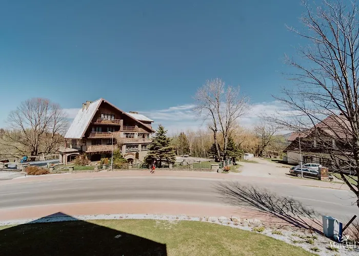 Silence Triventi Bialy Kot * Karpacz